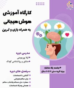 هوش هیجانی