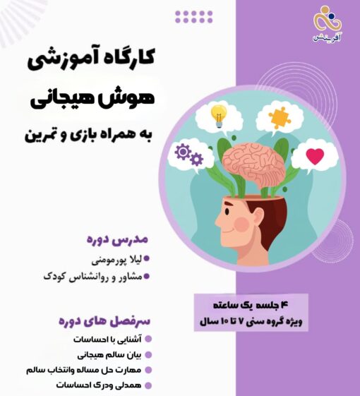 هوش هیجانی